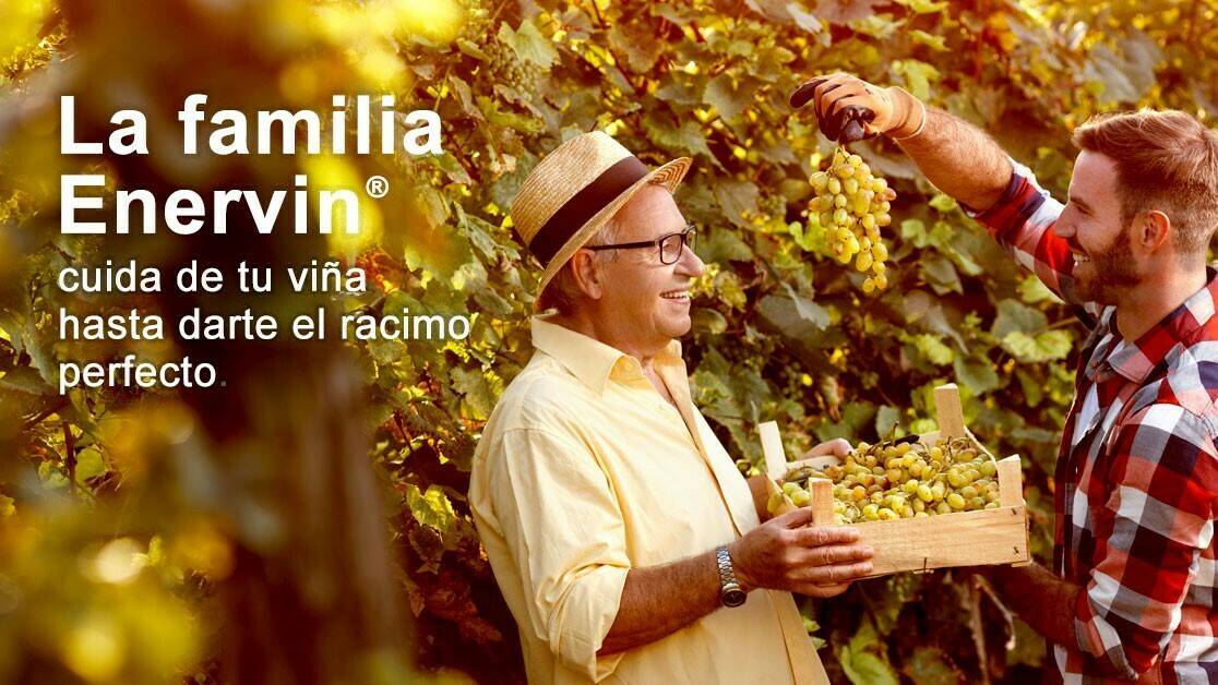 ENERVIN_Familia|ENERVIN PRO vs CONTROL LLODIO JUL 2017 a|TESIS cONTROL LLODIO 2017